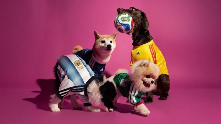 adidas expands FIFA World Cup 2026™ Line with first-ever pet jersey collection
