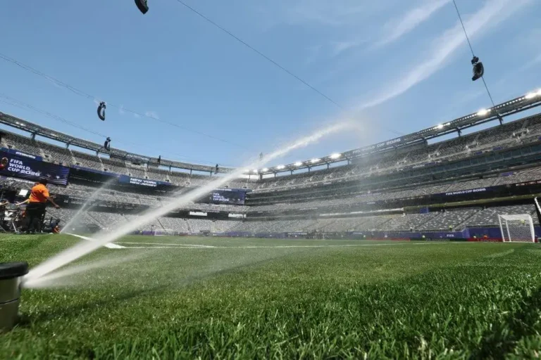 New Jersey and FIFA clash again over plan to sell MetLife Stadium grass for $11.2 million